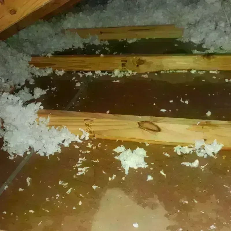 Attic Water Damage in Seaside, CA