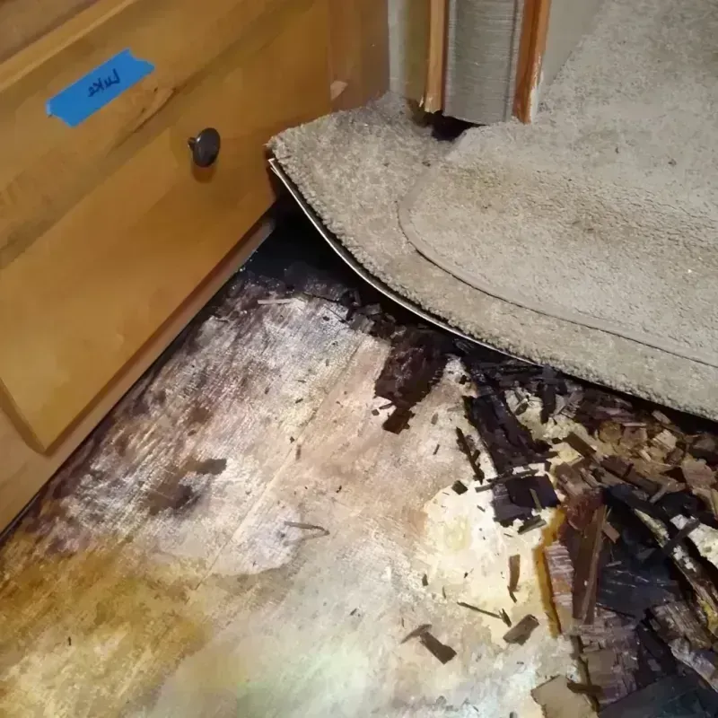 Wood Floor Water Damage in Seaside, CA